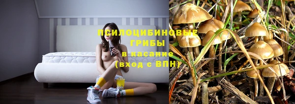 2c-b Абдулино